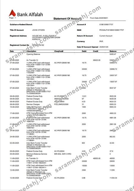 Pakistan Bank Alfalah statement of account Word and PDF template